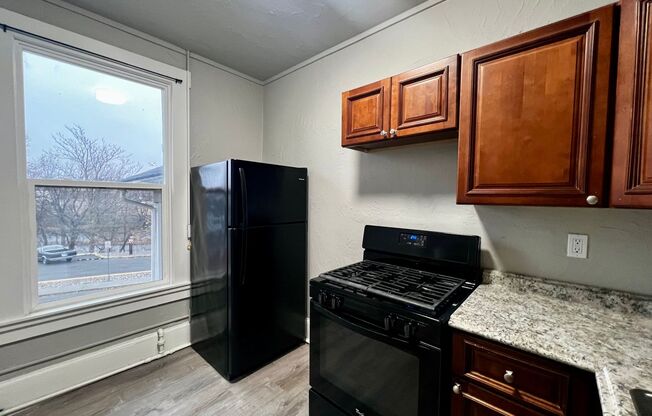 Studio, 1 bath, $975, Unit #102