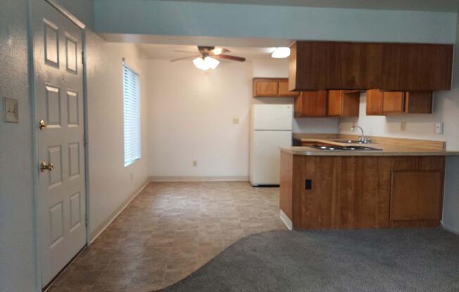 Interior view of a small apartment showing a living area and kitchen. The space includes a carpeted floor, a door leading outside, a ceiling fan, and wooden cabinetry in the kitchen. A white refrigerator is visible, along with a countertop and sink. Natural light comes through a window.