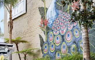 a mural of a peacock on the side of a building with lounge seating at Vera Cortez Hill, San Diego