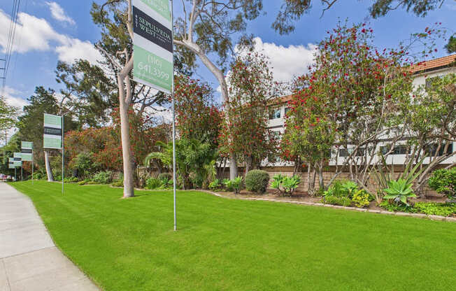 A green sign with white text on a pole in front of a tree.