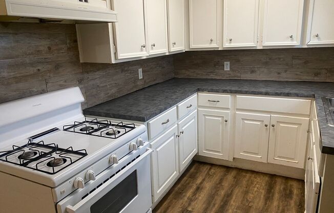 Cute 2-Bedroom Down the Street from Texas Tech!