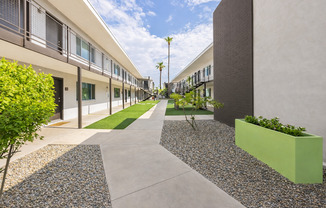 Urban Connected Apartments