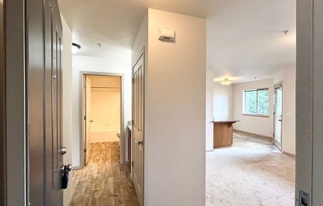 Johnson Street Apartments - Two Bed, One Bath Units Available Now!