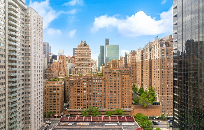 1 bed, 1 bath, $4,400, Unit 21E