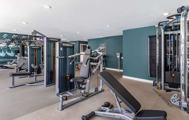 a gym with weights and cardio equipment in a room with green walls