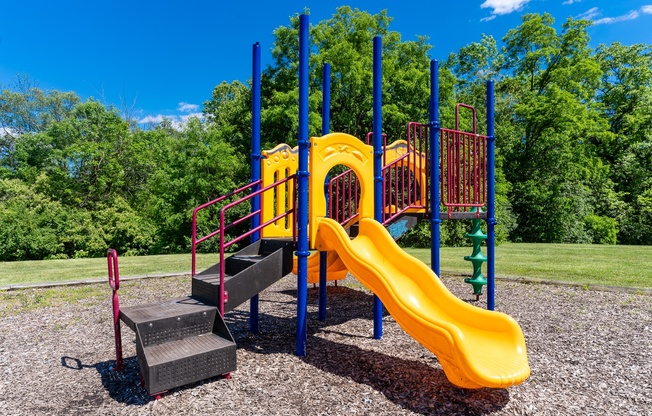 a playground with a yellow slide and other playground equipment