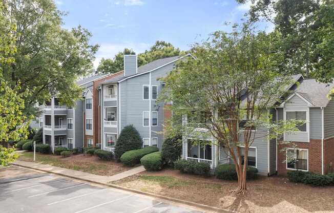 A tree in front of a grey apartment building.
