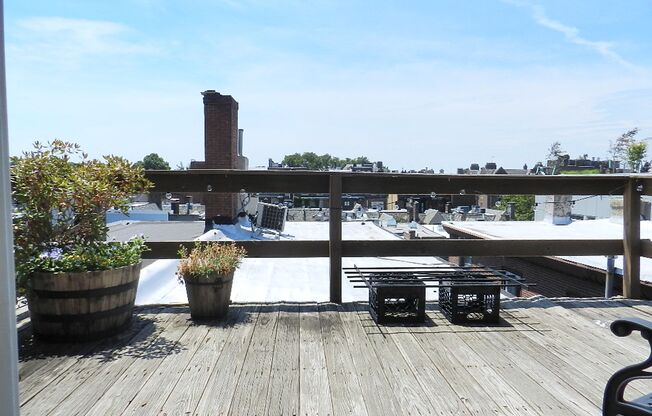 Stunning 2BR 1 BA w/ Private Deck & W/D in Unit!*Available July*