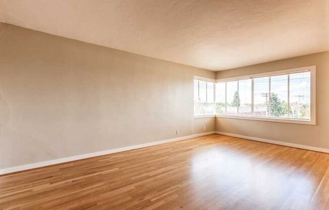 Studio, 1 bath, 360 sqft, $1,175, Unit 208