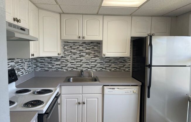 Spacious Riverview 1B/1B Condo