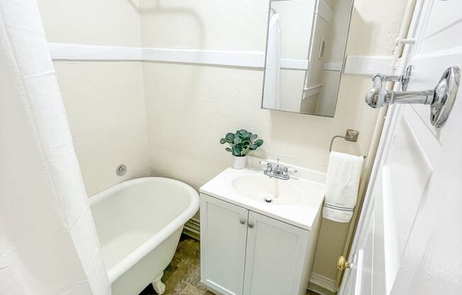 1 bed, 1 bath, 410 sqft, $1,695, Unit 303