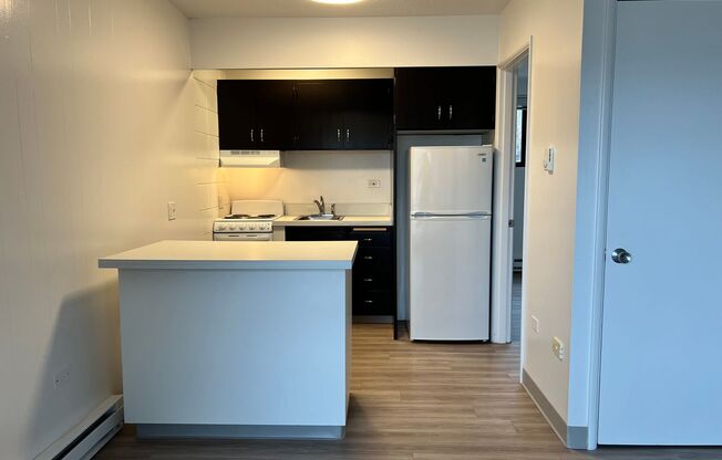 1 bed, 1 bath, 425 sqft, $1,250, Unit 604