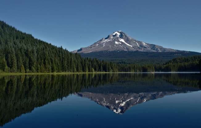 The Byway | Within 1 hour to Mt. Hood