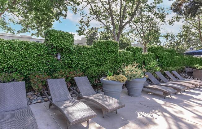 A serene outdoor setting featuring several lounge chairs arranged neatly beside a walkway. Lush green hedges provide privacy and shade, while potted plants add colorful accents to the area. The scene is relaxing and inviting, perfect for enjoying a sunny day by the pool.