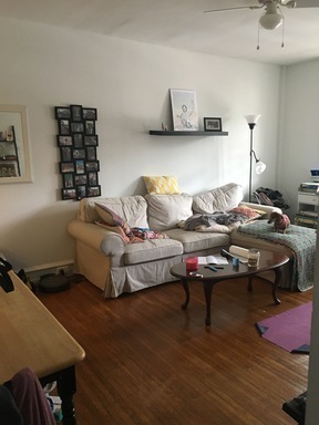 1 bed, 1 bath, 500 sqft, $1,395, Unit 301