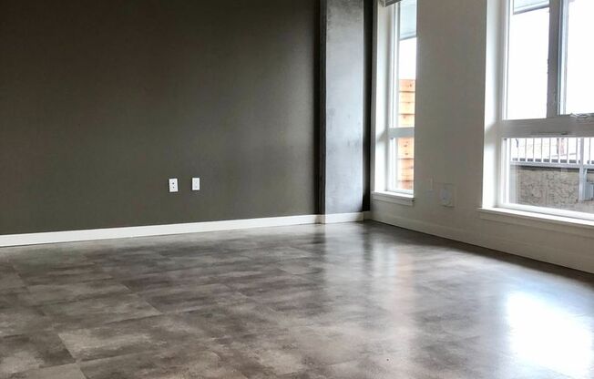 Studio, 1 bath, 525 sqft, $1,950, Unit 203