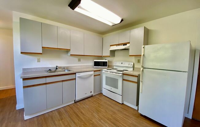 Studio, 1 bath, 413 sqft, $1,295, Unit 310