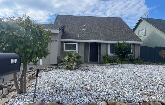 Newly Remodeled 5 Bedroom 3 Bath Home in Citrus Heights