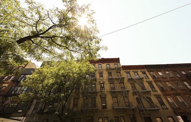 446 W 49 ST