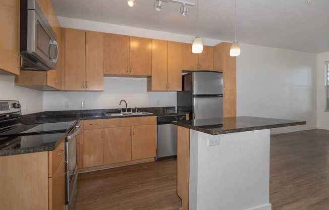 Kitchen and Living Area with Hard Surface Flooring