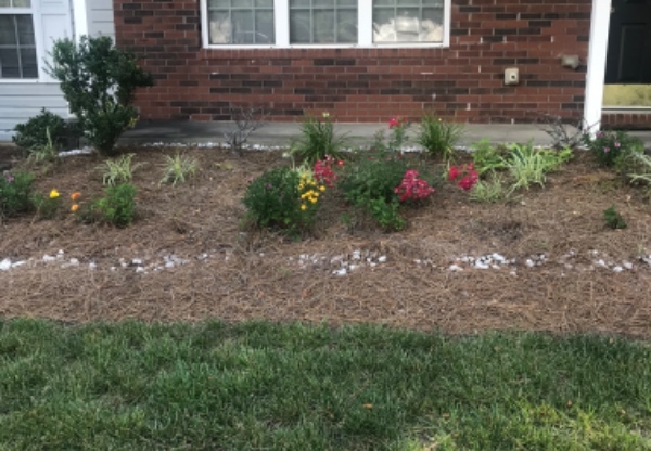 10852 HOLLY RDG BLVD