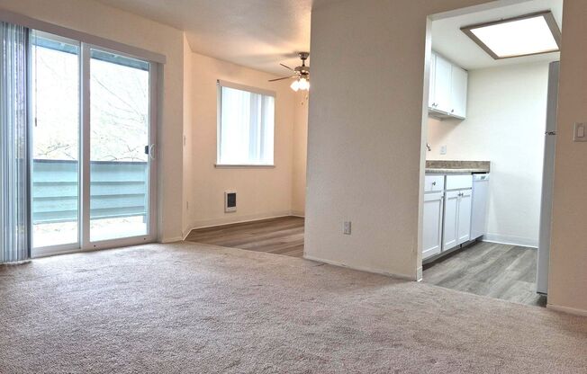 1 bed, 1 bath, 622 sqft, $1,499, Unit 331
