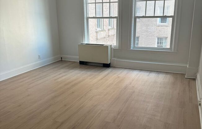 Studio, 1 bath, 224 sqft, $1,125, Unit 517