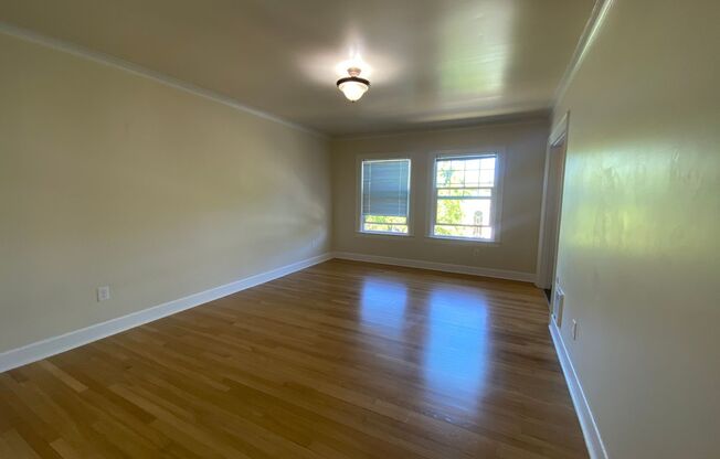 Studio, 1 bath, 454 sqft, $1,545, Unit 303