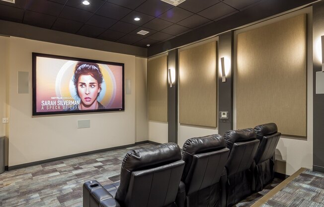 Orchard Crossing | Theater Room