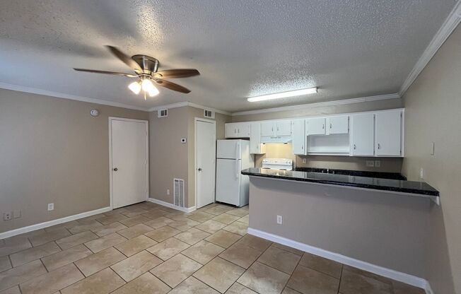 1 bed, 1 bath, 504 sqft, $1,250, Unit 215