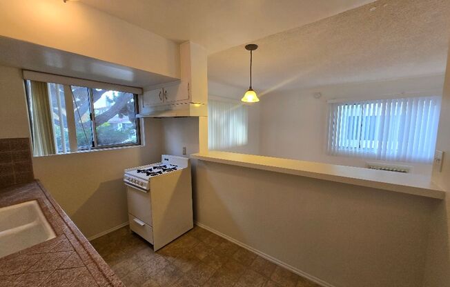 Studio, 1 bath, 470 sqft, $1,695, Unit 1