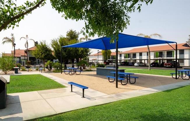 Pet Friendly Apartments in Mesa AZ - Mesa Station - Outdoor Picnic Area with Picnic Tables, a Shaded Area, Grilling Stations, and Nice Landscaping