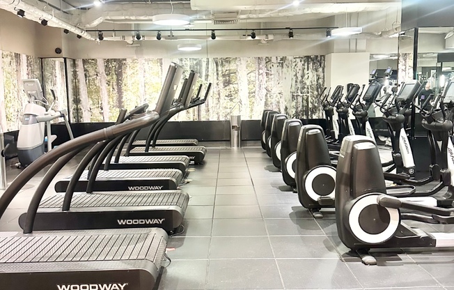 1 bed, 1 bath, $7,000, Unit 8B