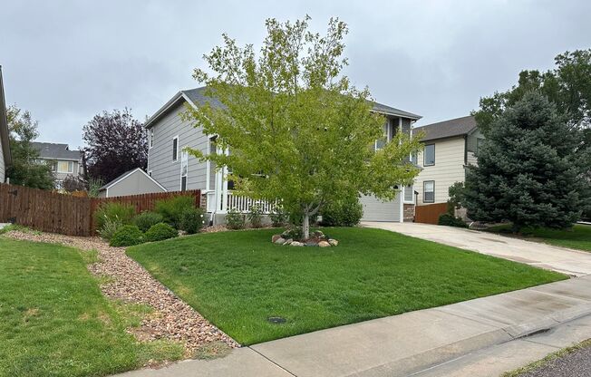 Open concept floor plan - 5BD/3.5BA sits on a large fenced lot - New Carpet