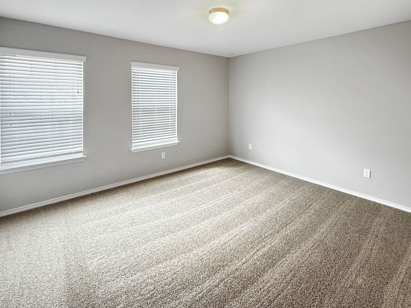 Move in Ready Converse