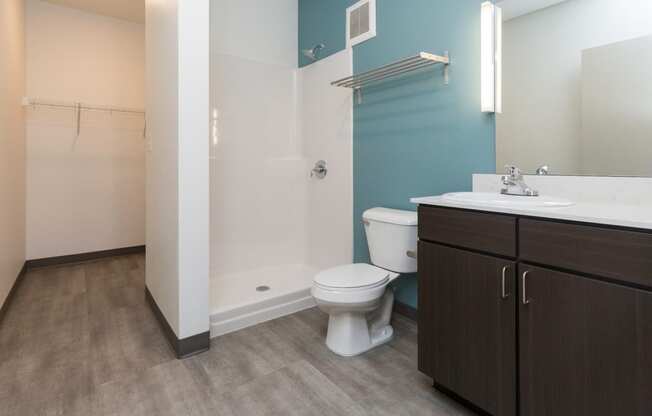 spacious bathroom and closet space