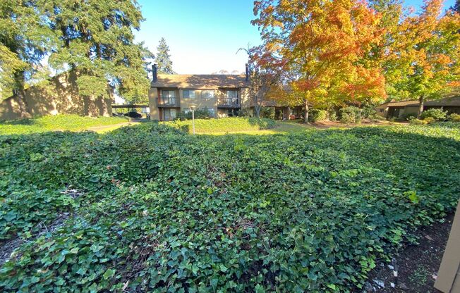 1 bed, 1 bath, 625 sqft, $1,388, Unit 0076