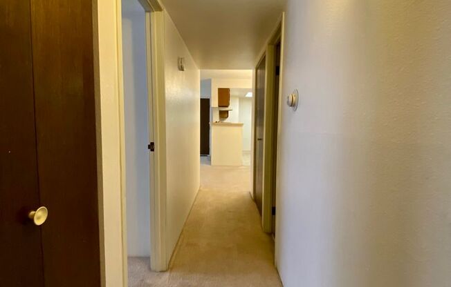 1 bed, 1 bath, $1,250