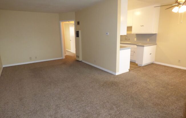 1 bed, 1 bath, 646 sqft, $1,695, Unit 12