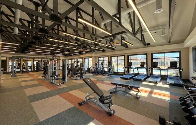 A gym with a variety of equipment including treadmills, weights, and a rowing machine.