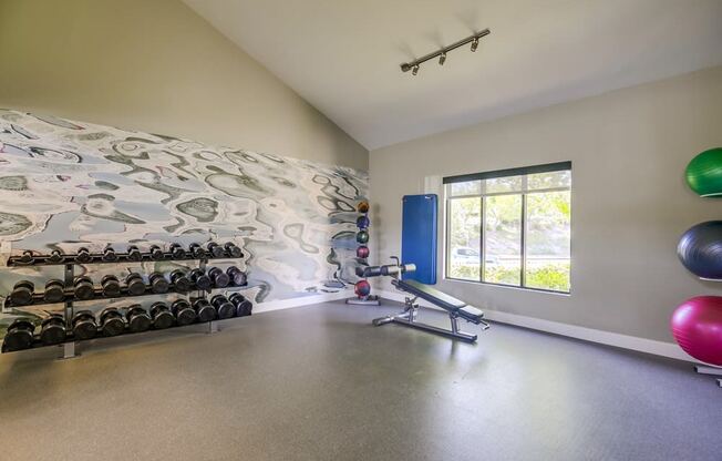 Temecula, CA Apartments - Vista Promenade Fitness Center with Ellipticals, Treadmills, Exercise Balls, TVs, and More