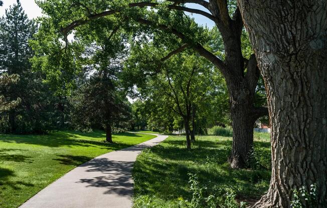 Leafy paths and peaceful mornings at Harvard Gulch Park—just minutes from Modera University Park.