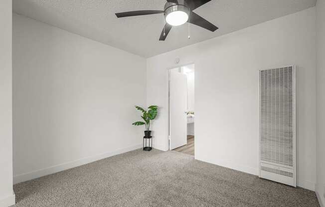 A room with a ceiling fan and a plant in a vase.