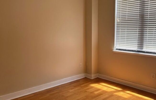 1 bed, 1 bath, $1,550