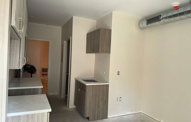 Studio, 1 bath, 222 sqft, $700, Unit UNIT 106