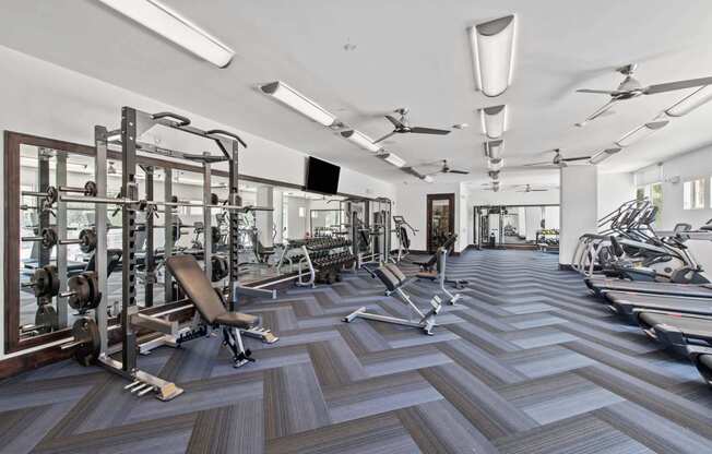 a gym with cardio machines and weights on the floor