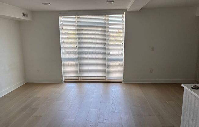 Studio, 1 bath, 496 sqft, $2,275, Unit 202