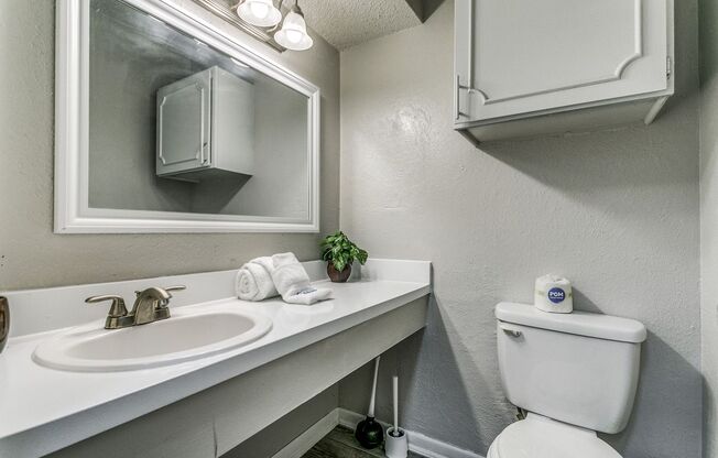 Studio, 1 bath, 555 sqft, $749