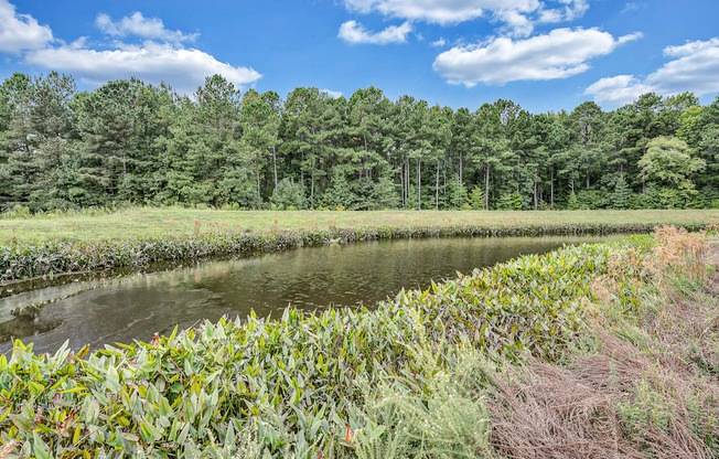 a small body of water surrounded by grass and trees