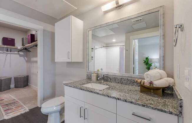 Bathroom With Granite Countertop And Large Mirror